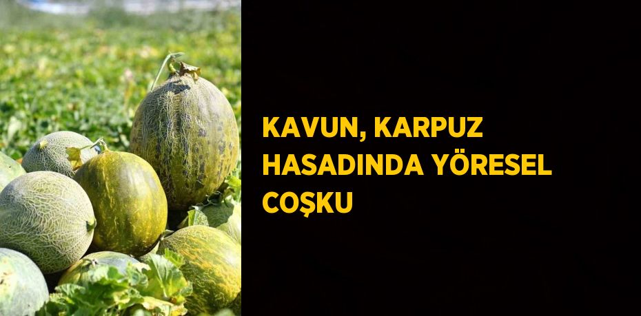 KAVUN, KARPUZ HASADINDA YÖRESEL COŞKU