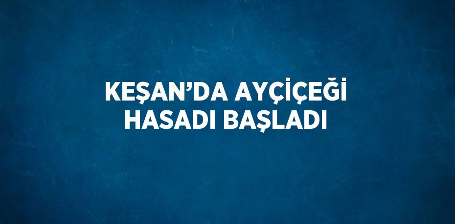 KEŞAN’DA AYÇİÇEĞİ HASADI BAŞLADI