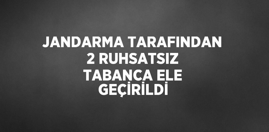 JANDARMA TARAFINDAN 2 RUHSATSIZ TABANCA ELE GEÇİRİLDİ