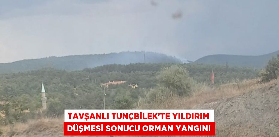 TAVŞANLI TUNÇBİLEK’TE YILDIRIM DÜŞMESİ SONUCU ORMAN YANGINI