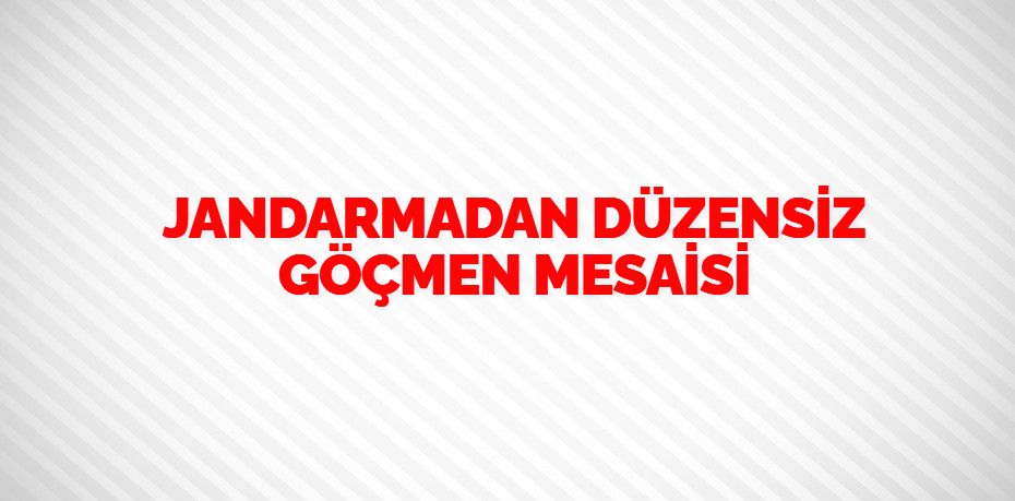 JANDARMADAN DÜZENSİZ GÖÇMEN MESAİSİ