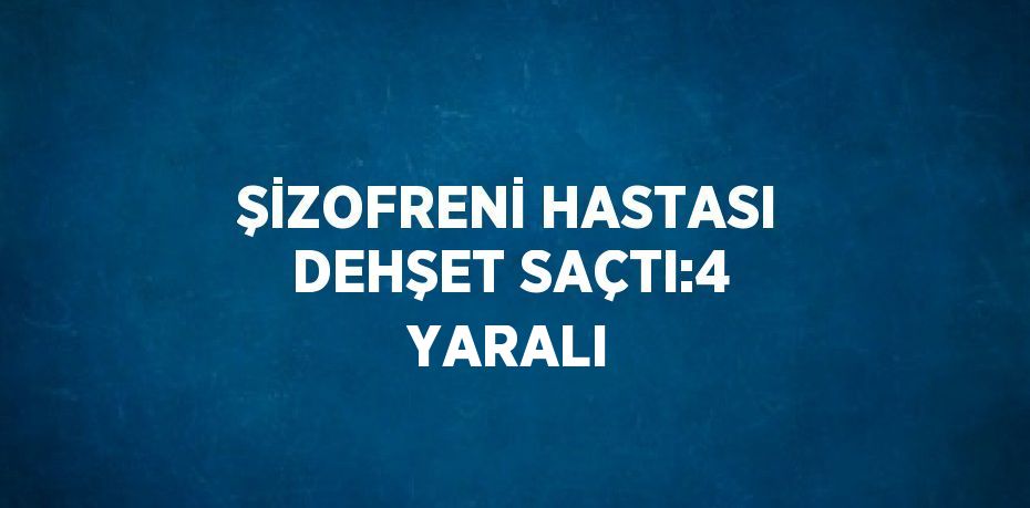 ŞİZOFRENİ HASTASI DEHŞET SAÇTI:4 YARALI