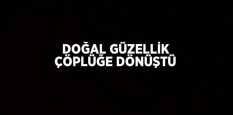 DOĞAL GÜZELLİK ÇÖPLÜĞE DÖNÜŞTÜ