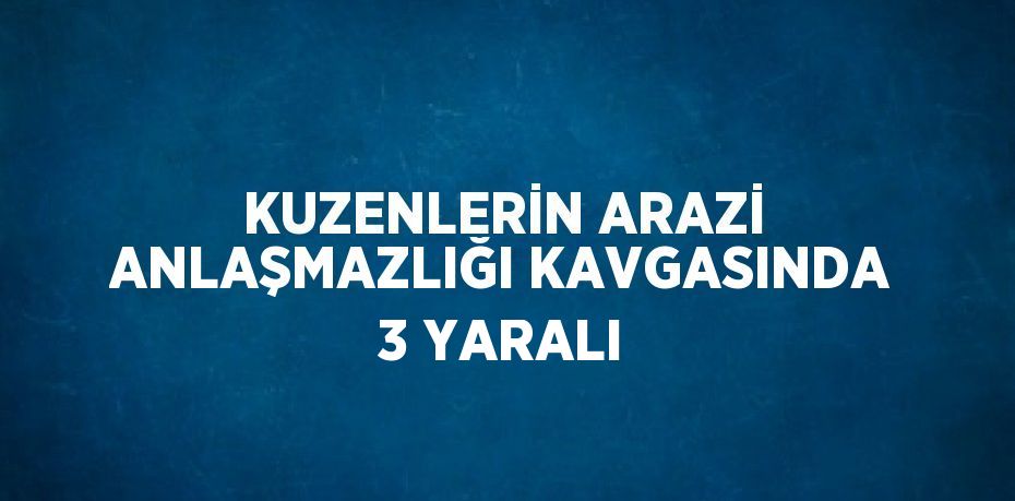 KUZENLERİN ARAZİ ANLAŞMAZLIĞI KAVGASINDA 3 YARALI