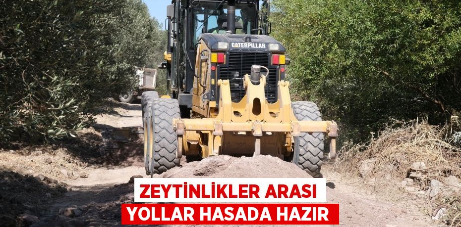 ZEYTİNLİKLER ARASI YOLLAR HASADA HAZIR