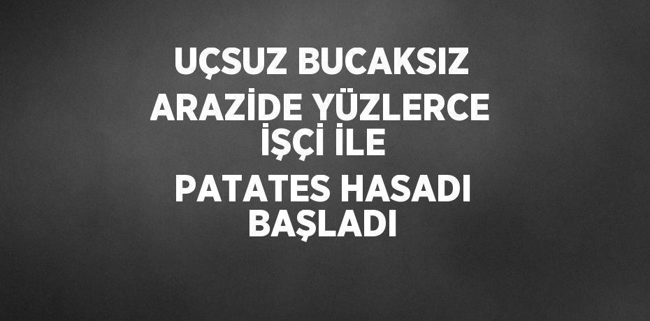 UÇSUZ BUCAKSIZ ARAZİDE YÜZLERCE İŞÇİ İLE PATATES HASADI BAŞLADI