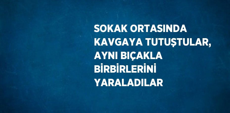 SOKAK ORTASINDA KAVGAYA TUTUŞTULAR, AYNI BIÇAKLA BİRBİRLERİNİ YARALADILAR