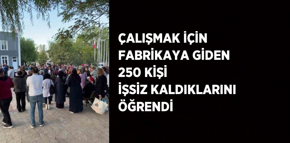 ÇALIŞMAK İÇİN FABRİKAYA GİDEN 250 KİŞİ İŞSİZ KALDIKLARINI ÖĞRENDİ