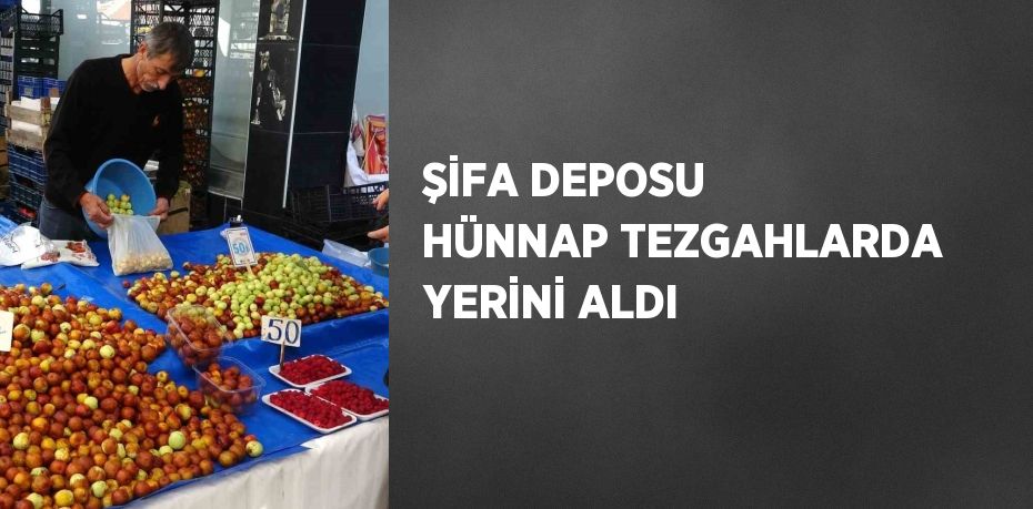 ŞİFA DEPOSU HÜNNAP TEZGAHLARDA YERİNİ ALDI