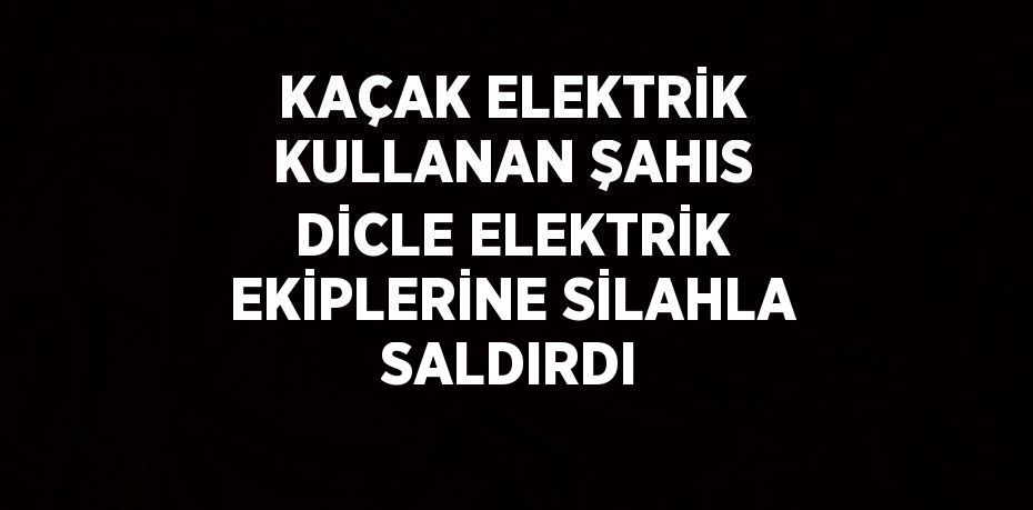 KAÇAK ELEKTRİK KULLANAN ŞAHIS DİCLE ELEKTRİK EKİPLERİNE SİLAHLA SALDIRDI