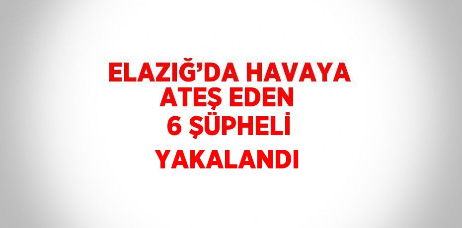 ELAZIĞ’DA HAVAYA ATEŞ EDEN 6 ŞÜPHELİ YAKALANDI