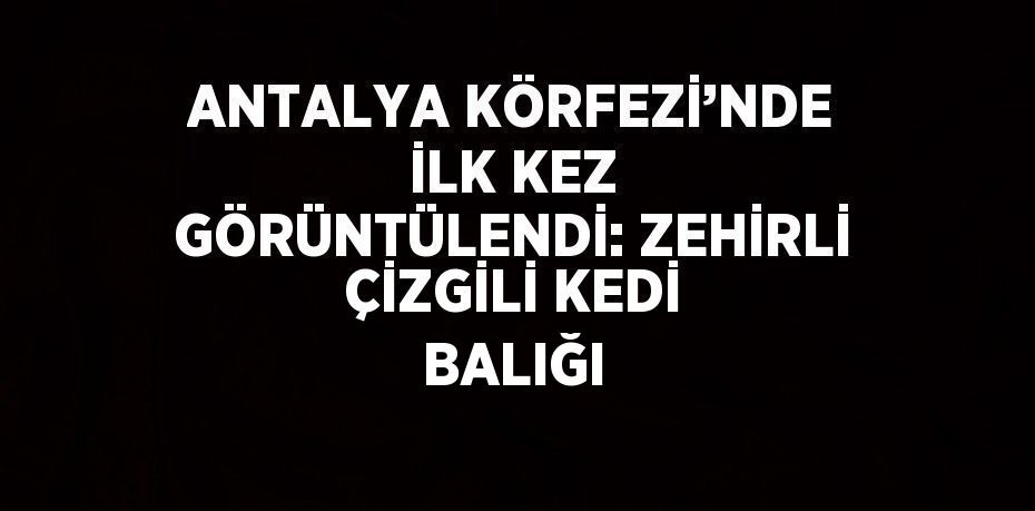 ANTALYA KÖRFEZİ’NDE İLK KEZ GÖRÜNTÜLENDİ: ZEHİRLİ ÇİZGİLİ KEDİ BALIĞI