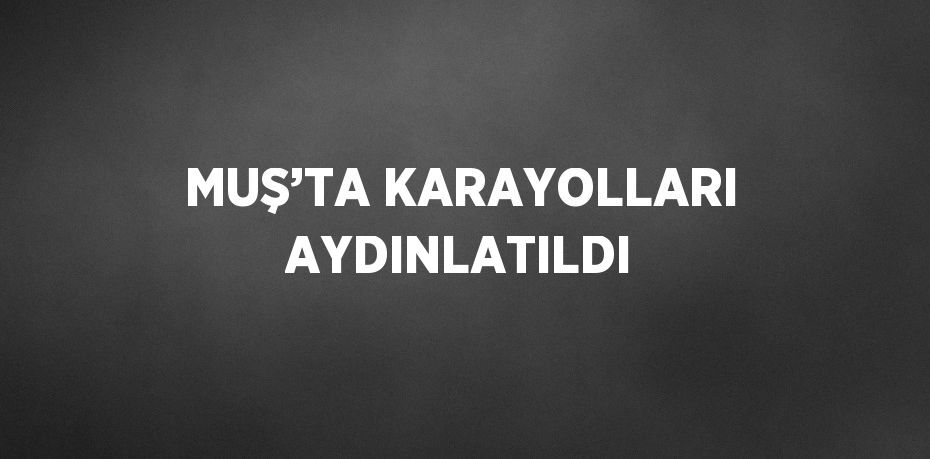 MUŞ’TA KARAYOLLARI AYDINLATILDI