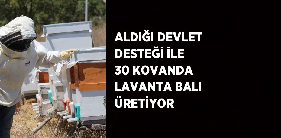 ALDIĞI DEVLET DESTEĞİ İLE 30 KOVANDA LAVANTA BALI ÜRETİYOR