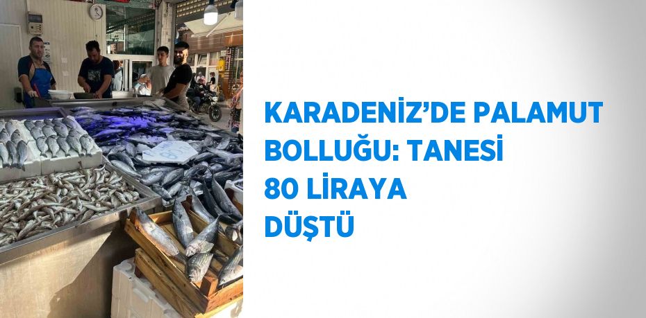 KARADENİZ’DE PALAMUT BOLLUĞU: TANESİ 80 LİRAYA DÜŞTÜ