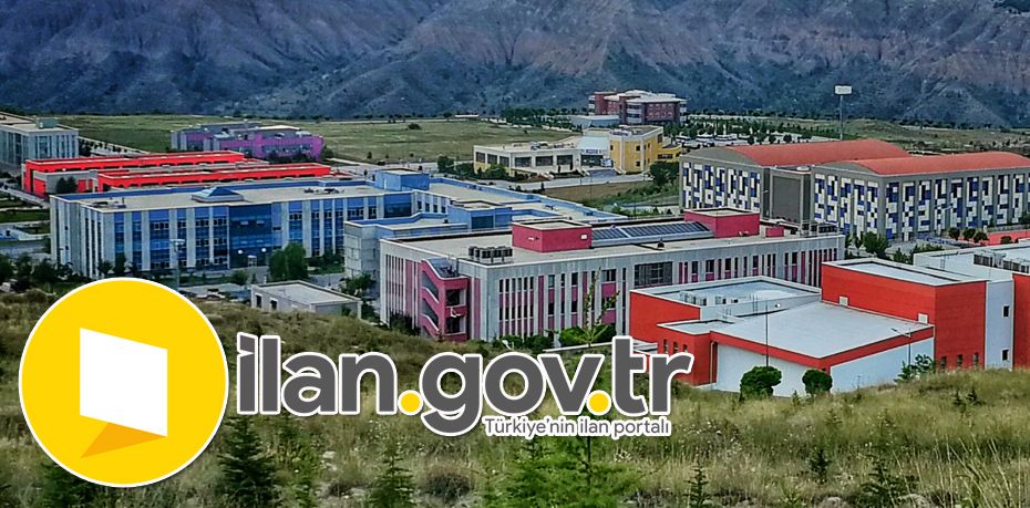 Çankırı Karatekin Üniversitesi Öğretim Üyesi Alıyor