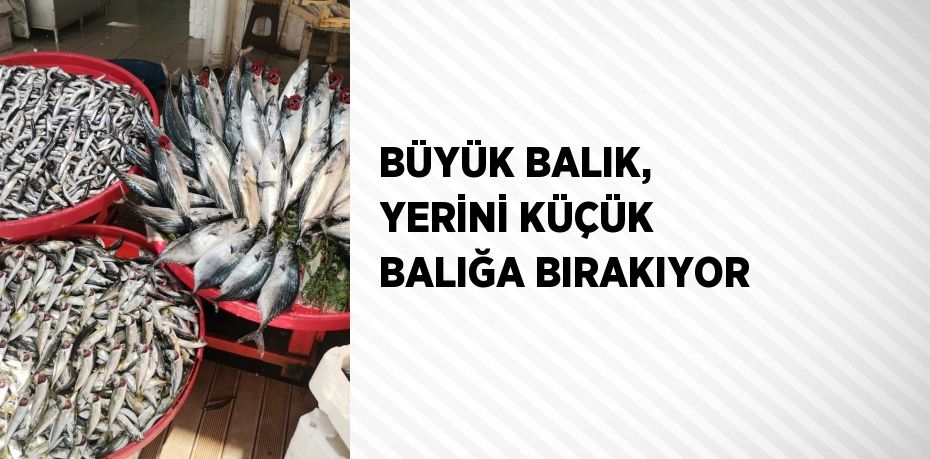 BÜYÜK BALIK, YERİNİ KÜÇÜK BALIĞA BIRAKIYOR