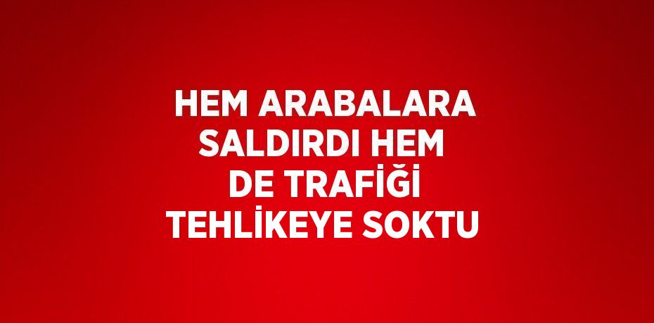 HEM ARABALARA SALDIRDI HEM DE TRAFİĞİ TEHLİKEYE SOKTU