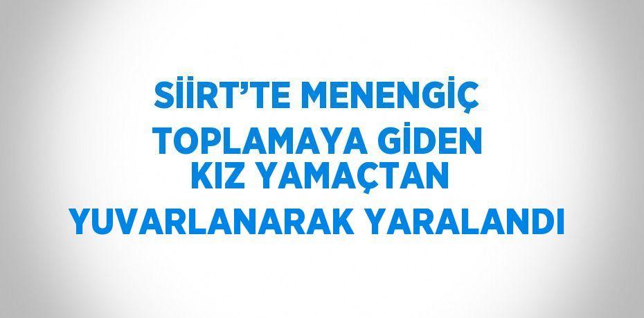 SİİRT’TE MENENGİÇ TOPLAMAYA GİDEN KIZ YAMAÇTAN YUVARLANARAK YARALANDI