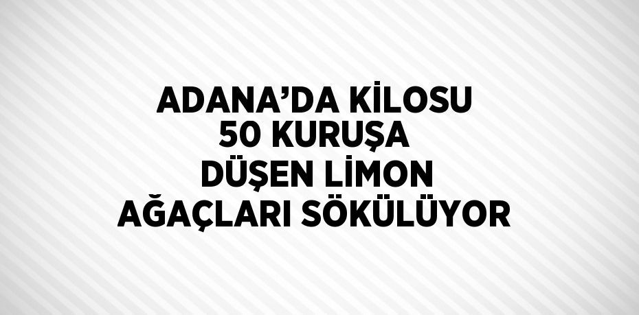 ADANA’DA KİLOSU 50 KURUŞA DÜŞEN LİMON AĞAÇLARI SÖKÜLÜYOR