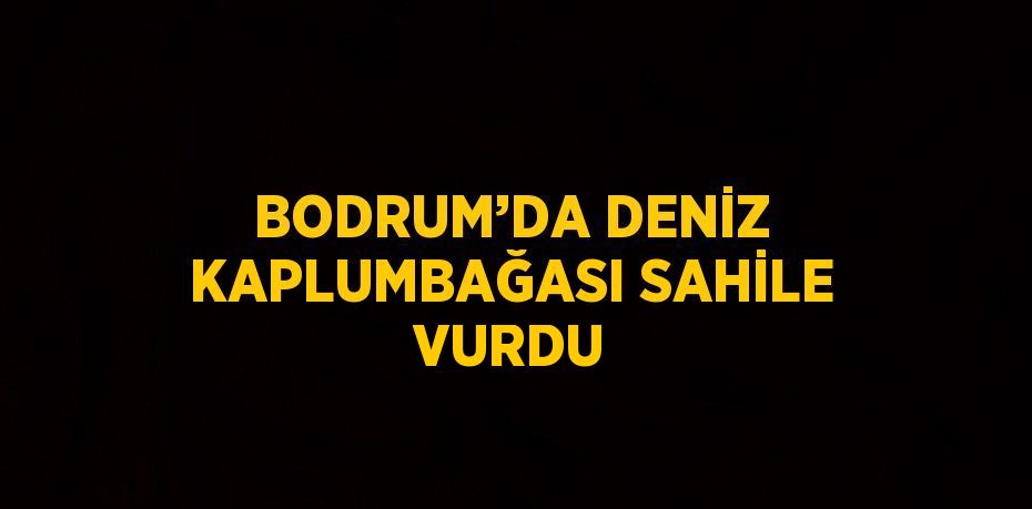 BODRUM’DA DENİZ KAPLUMBAĞASI SAHİLE VURDU