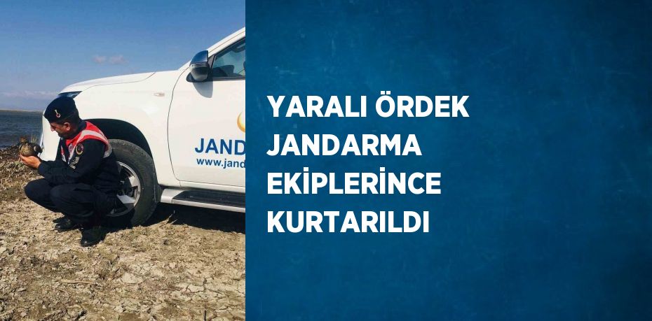 YARALI ÖRDEK JANDARMA EKİPLERİNCE KURTARILDI