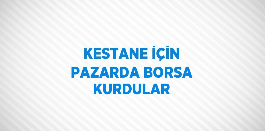 KESTANE İÇİN PAZARDA BORSA KURDULAR