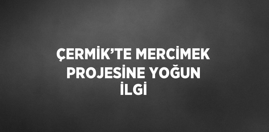 ÇERMİK’TE MERCİMEK PROJESİNE YOĞUN İLGİ