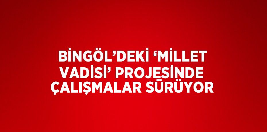 BİNGÖL’DEKİ ‘MİLLET VADİSİ’ PROJESİNDE ÇALIŞMALAR SÜRÜYOR