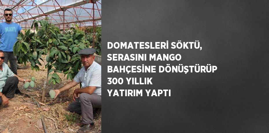 DOMATESLERİ SÖKTÜ, SERASINI MANGO BAHÇESİNE DÖNÜŞTÜRÜP 300 YILLIK YATIRIM YAPTI