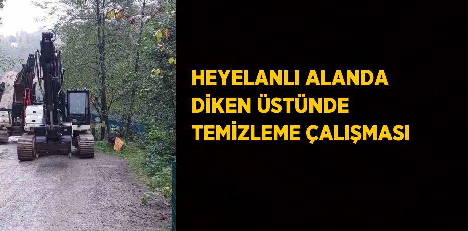 HEYELANLI ALANDA DİKEN ÜSTÜNDE TEMİZLEME ÇALIŞMASI