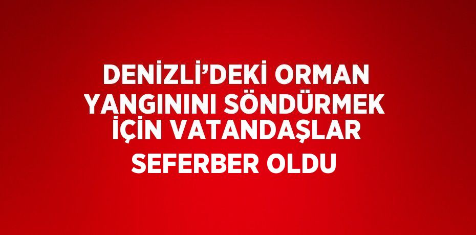 DENİZLİ’DEKİ ORMAN YANGININI SÖNDÜRMEK İÇİN VATANDAŞLAR SEFERBER OLDU