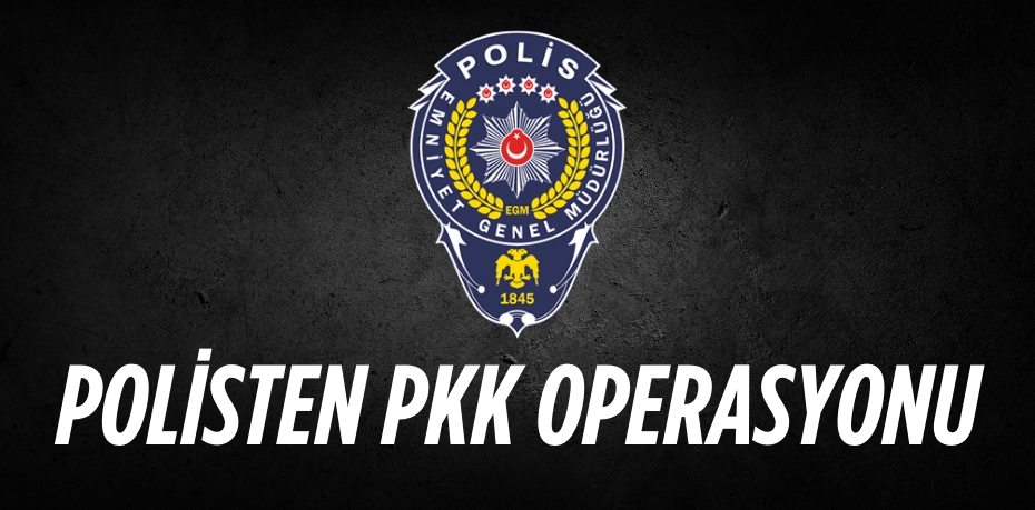 POLİSTEN PKK OPERASYONU