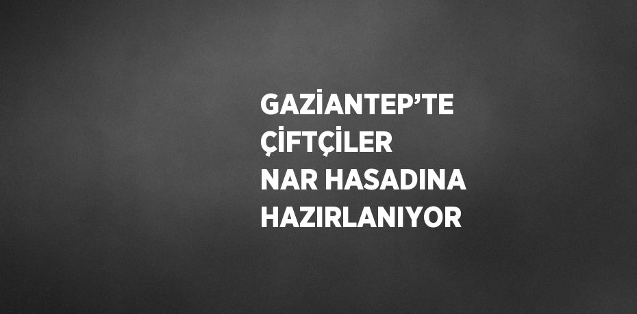 GAZİANTEP’TE ÇİFTÇİLER NAR HASADINA HAZIRLANIYOR