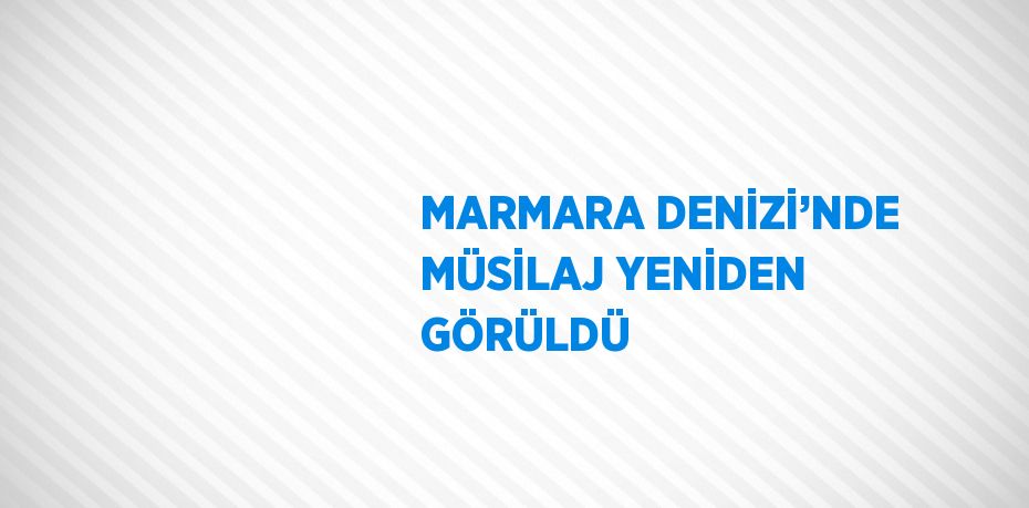 MARMARA DENİZİ’NDE MÜSİLAJ YENİDEN GÖRÜLDÜ