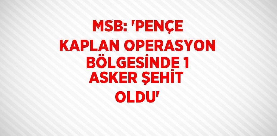 MSB: 'PENÇE KAPLAN OPERASYON BÖLGESİNDE 1 ASKER ŞEHİT OLDU'