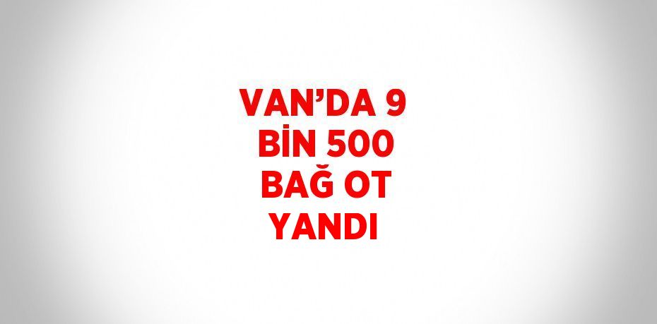 VAN’DA 9 BİN 500 BAĞ OT YANDI