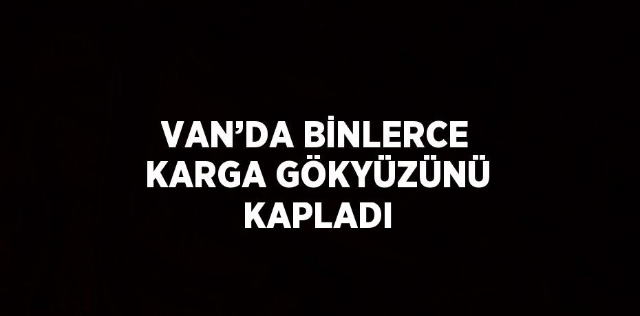 VAN’DA BİNLERCE KARGA GÖKYÜZÜNÜ KAPLADI