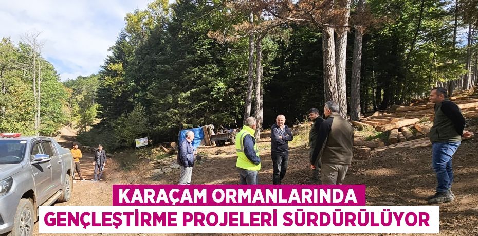 KARAÇAM ORMANLARINDA GENÇLEŞTİRME PROJELERİ SÜRDÜRÜLÜYOR