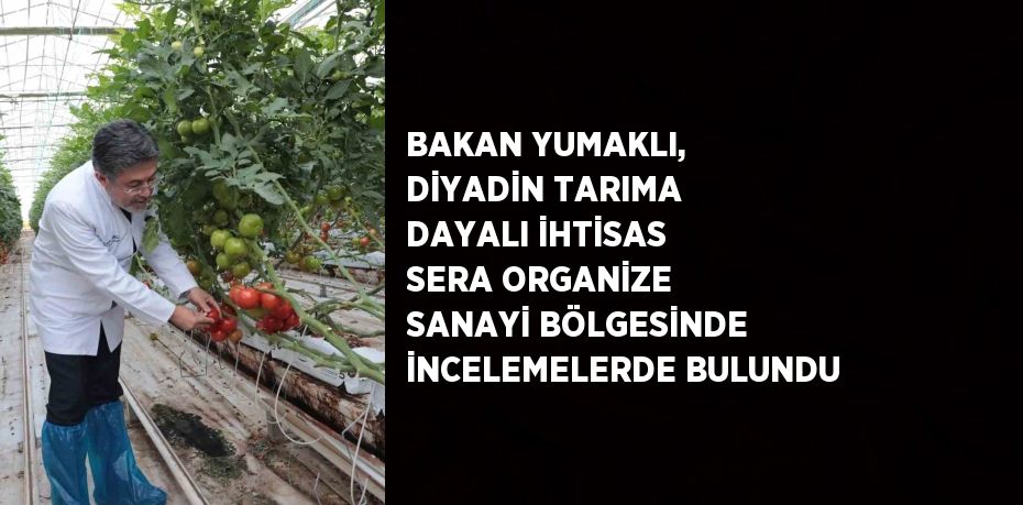 BAKAN YUMAKLI, DİYADİN TARIMA DAYALI İHTİSAS SERA ORGANİZE SANAYİ BÖLGESİNDE İNCELEMELERDE BULUNDU