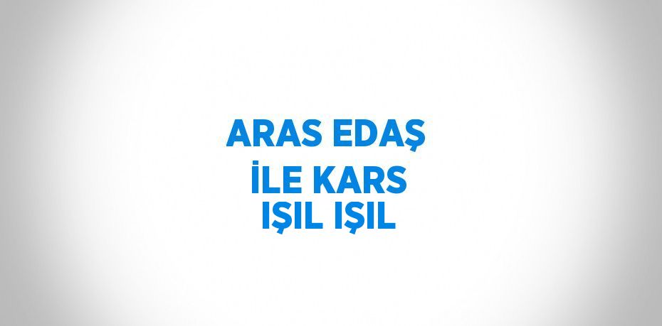 ARAS EDAŞ İLE KARS IŞIL IŞIL