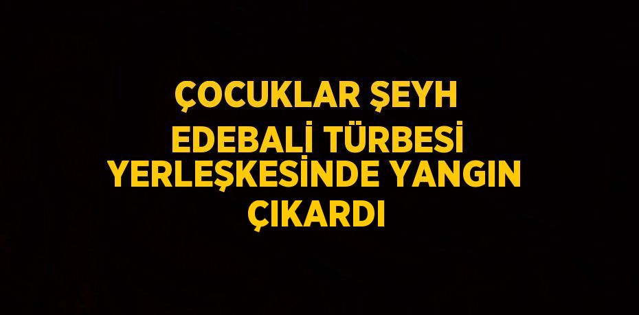 ÇOCUKLAR ŞEYH EDEBALİ TÜRBESİ YERLEŞKESİNDE YANGIN ÇIKARDI