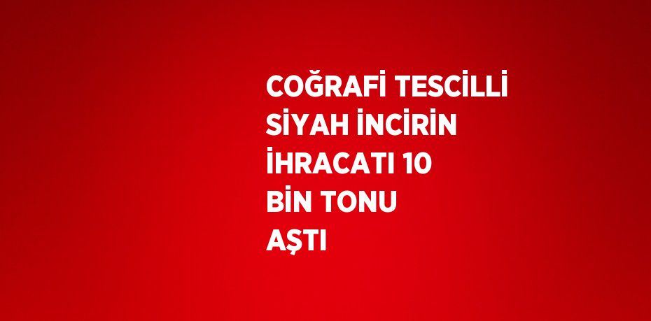 COĞRAFİ TESCİLLİ SİYAH İNCİRİN İHRACATI 10 BİN TONU AŞTI