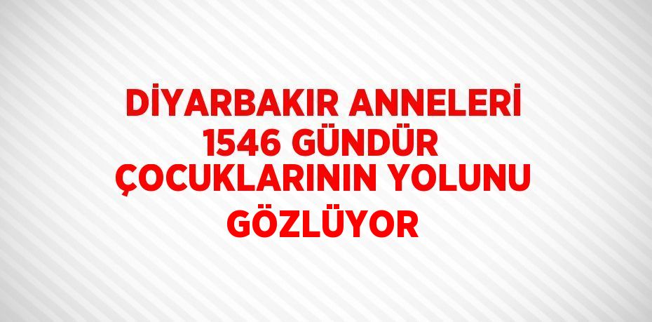 DİYARBAKIR ANNELERİ 1546 GÜNDÜR ÇOCUKLARININ YOLUNU GÖZLÜYOR