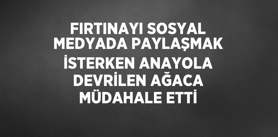 FIRTINAYI SOSYAL MEDYADA PAYLAŞMAK İSTERKEN ANAYOLA DEVRİLEN AĞACA MÜDAHALE ETTİ