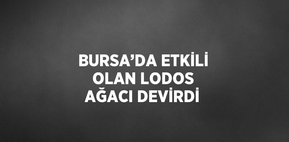 BURSA’DA ETKİLİ OLAN LODOS AĞACI DEVİRDİ