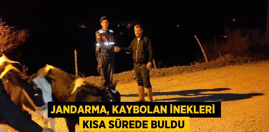 JANDARMA, KAYBOLAN İNEKLERİ KISA SÜREDE BULDU