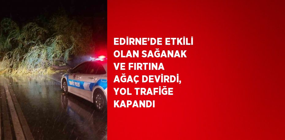 EDİRNE’DE ETKİLİ OLAN SAĞANAK VE FIRTINA AĞAÇ DEVİRDİ, YOL TRAFİĞE KAPANDI