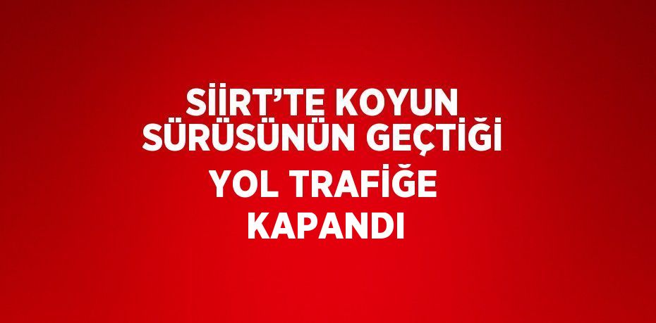 SİİRT’TE KOYUN SÜRÜSÜNÜN GEÇTİĞİ YOL TRAFİĞE KAPANDI