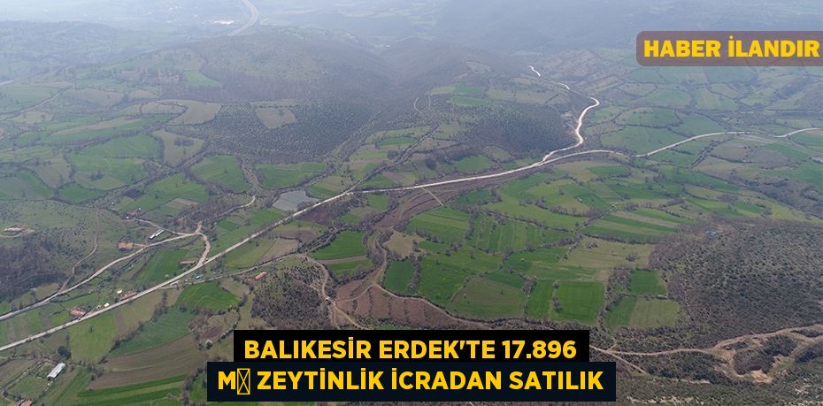 Balıkesir Erdek'te 17.896 m² zeytinlik icradan satılık